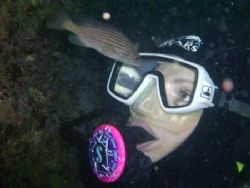 "Who do you think you're looking at"
Juvenile Grouper- I... by Ian Palmer 